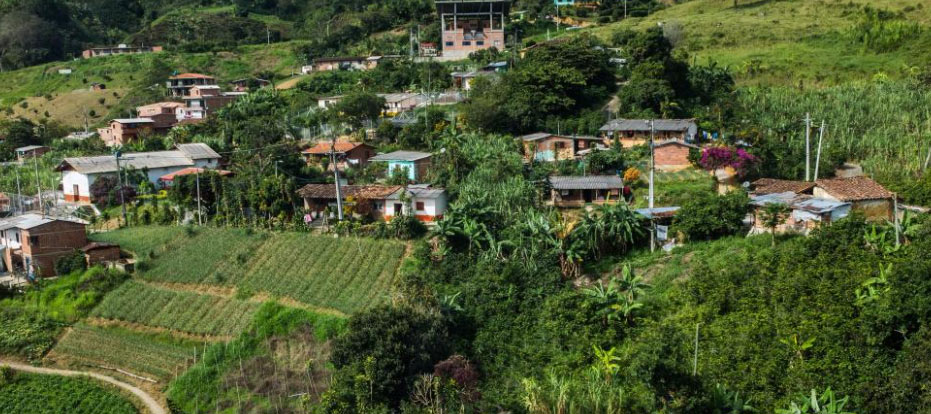 Cultivos en corregimiento de Medellín