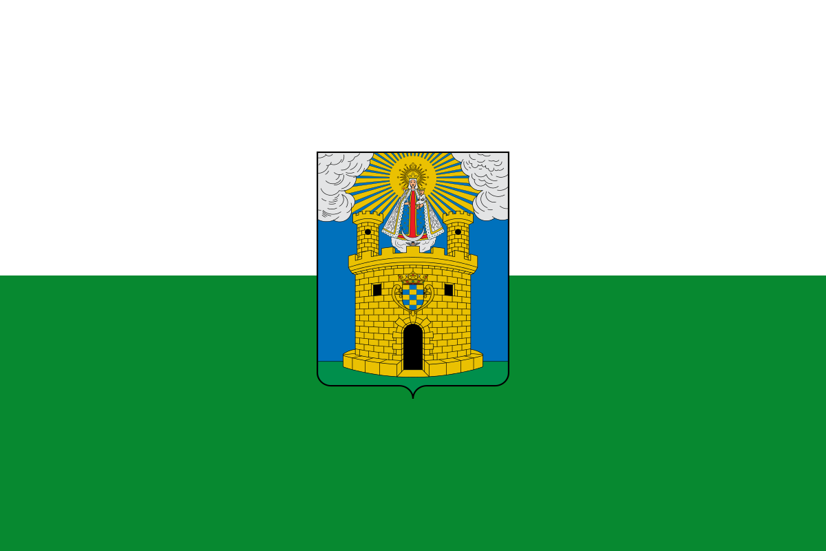 Bandera de Medellín