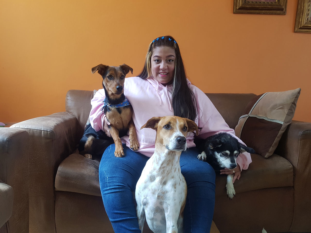 Andrea disfruta de la compañía de sus tres perras, con ellas comparte cada espacio de su casa y ellas son felices a su lado