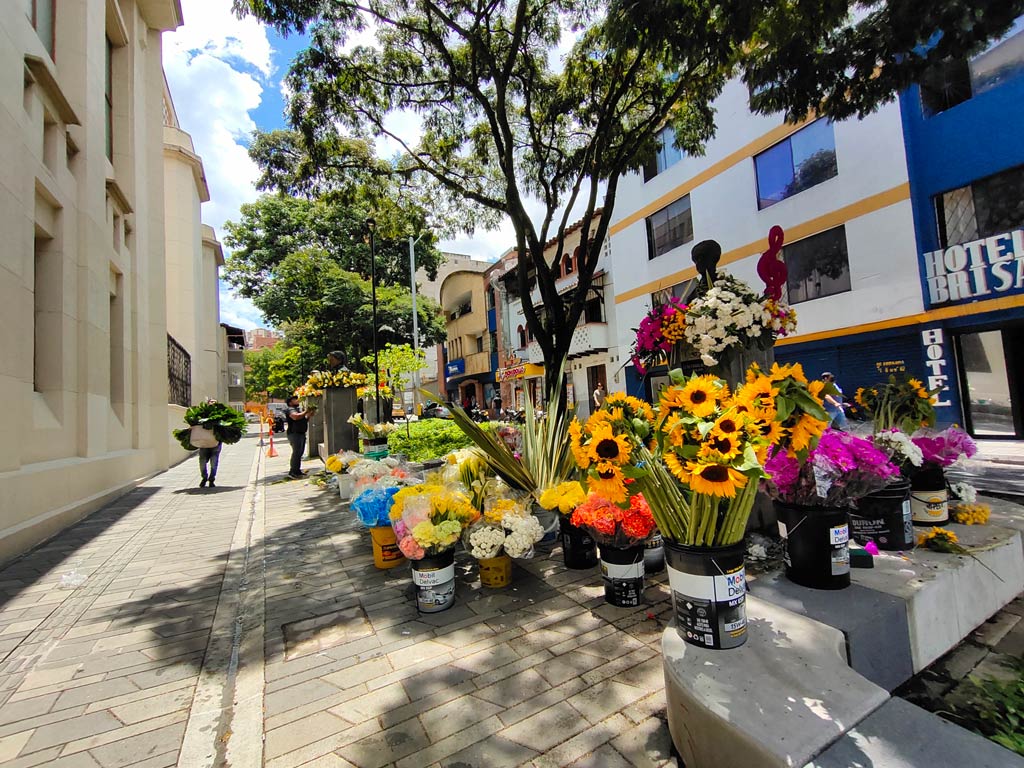 Avenida La Playa - Feria de las Flores