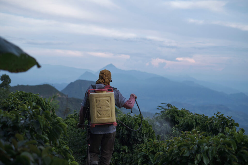 Se estrena ‘La roya’, la última película del año de “Cine Hecho en Medellín”