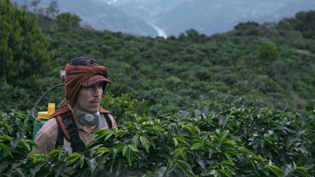 Se estrena ‘La roya’, la última película del año de “Cine Hecho en Medellín”