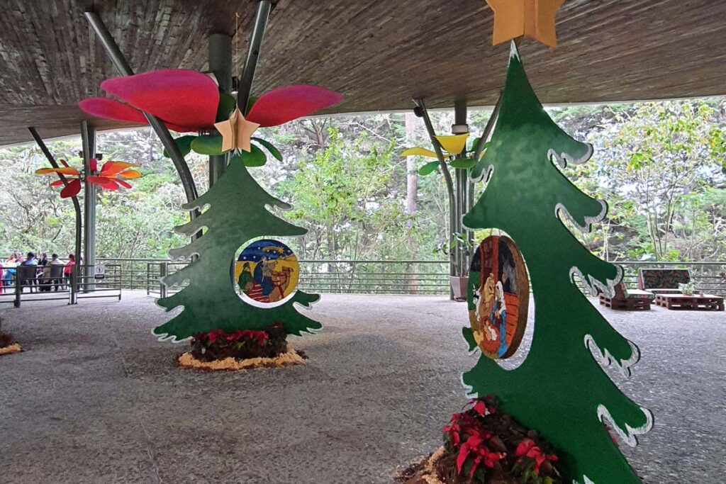 Arboles navideños Corporación Parque Arví