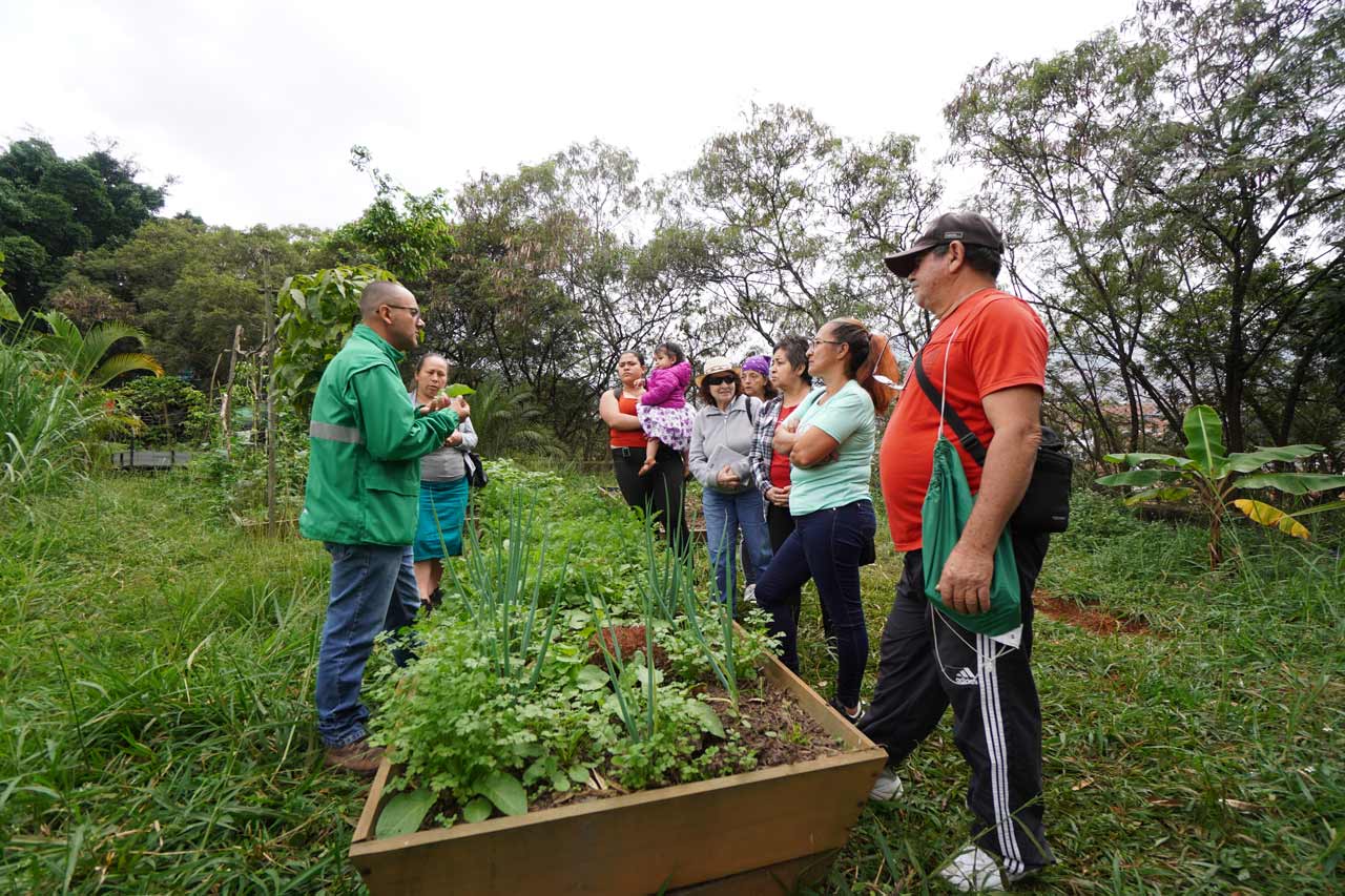 Con la implementación de 405 ecohuertas, Medellín sigue impulsando las buenas prácticas ambientales y la seguridad alimentaria