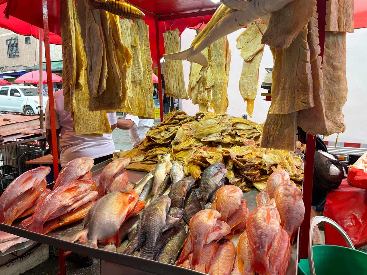 La Alcaldía de Medellín entrega recomendaciones para el consumo de pescado y mariscos en época de Semana Santa
