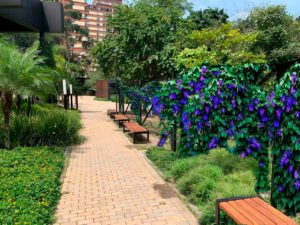 Parques del Río tendrá jardines verticales para garantizar la conectividad ecológica de distintas especies