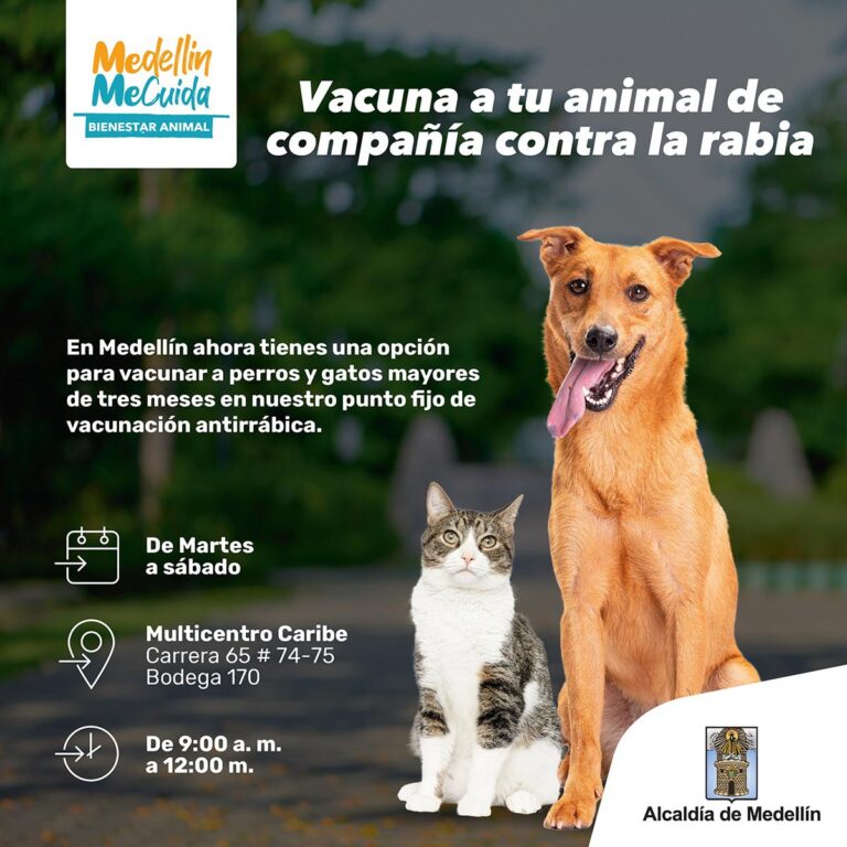 Vacunación antirrábica gratuita para perros y gatos