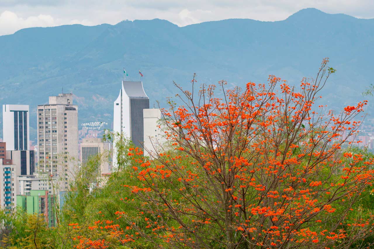 Acciones para enfrentar el episodio crítico de contaminación atmosférica en Medellín y el Valle de Aburrá