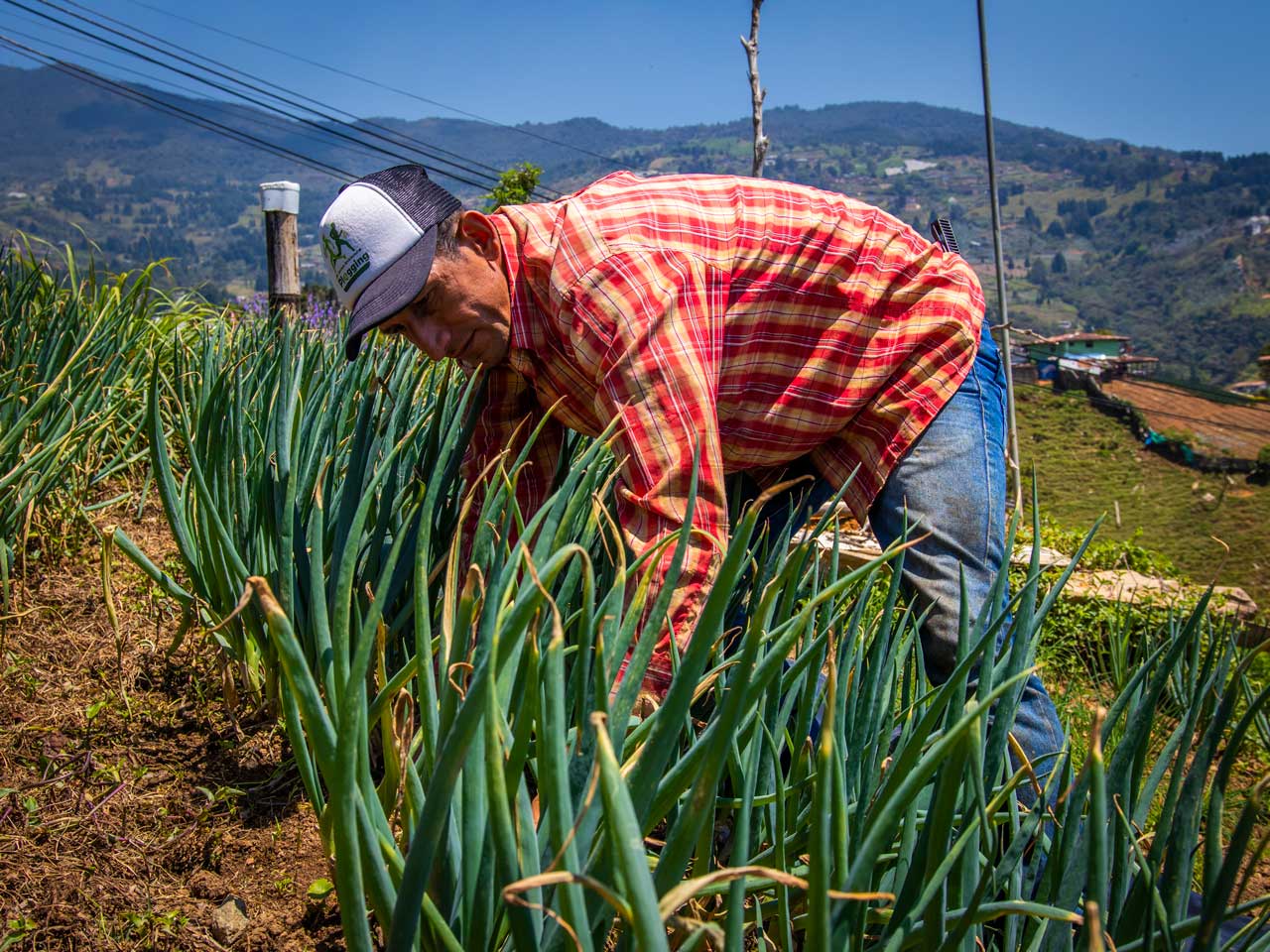 La Alcaldía de Medellín capacita a productores de los corregimientos para la comercialización de sus alimentos