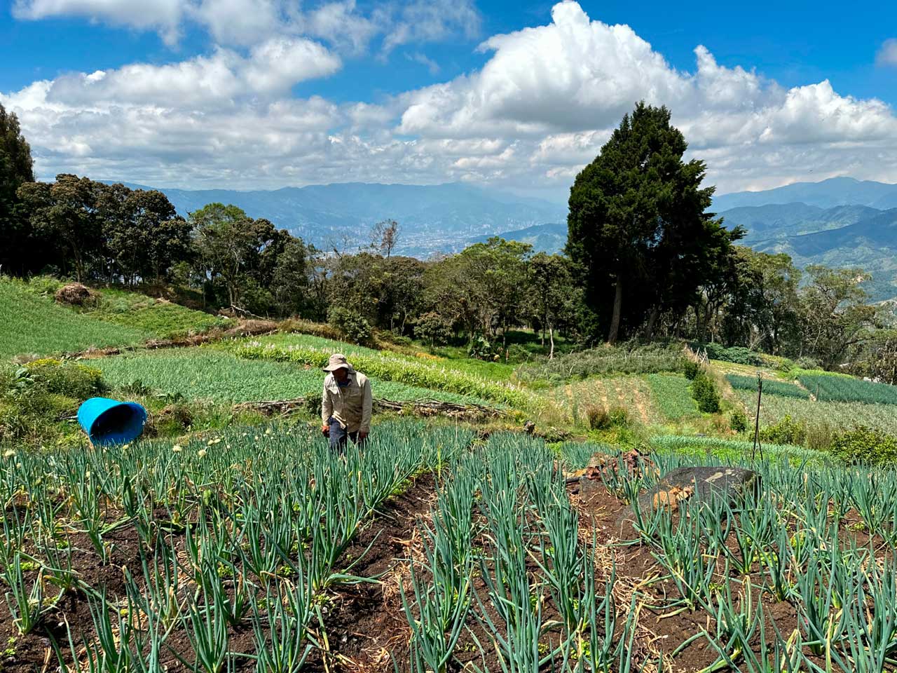 101 productores rurales de Medellín se beneficiarán con la instalación de infraestructura productiva agrícola