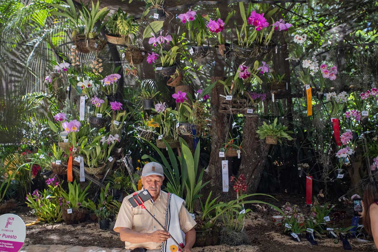 Exposición Florecer: el maravilloso mundo de orquídeas presente en la Feria de las Flores