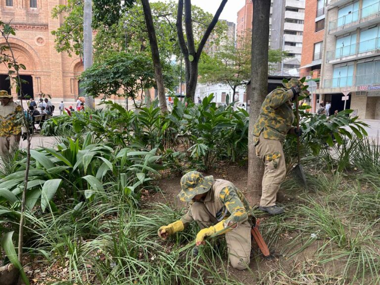 400.000 m2 de jardines reciben atención prioritaria para que Medellín vuelva a ser la “tacita de plata”