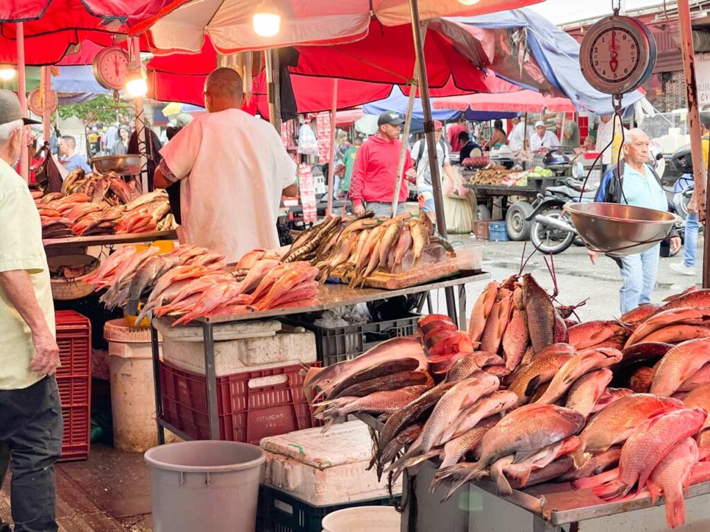 La Alcaldía de Medellín hace recomendaciones sobre el consumo de pescado en Semana Santa