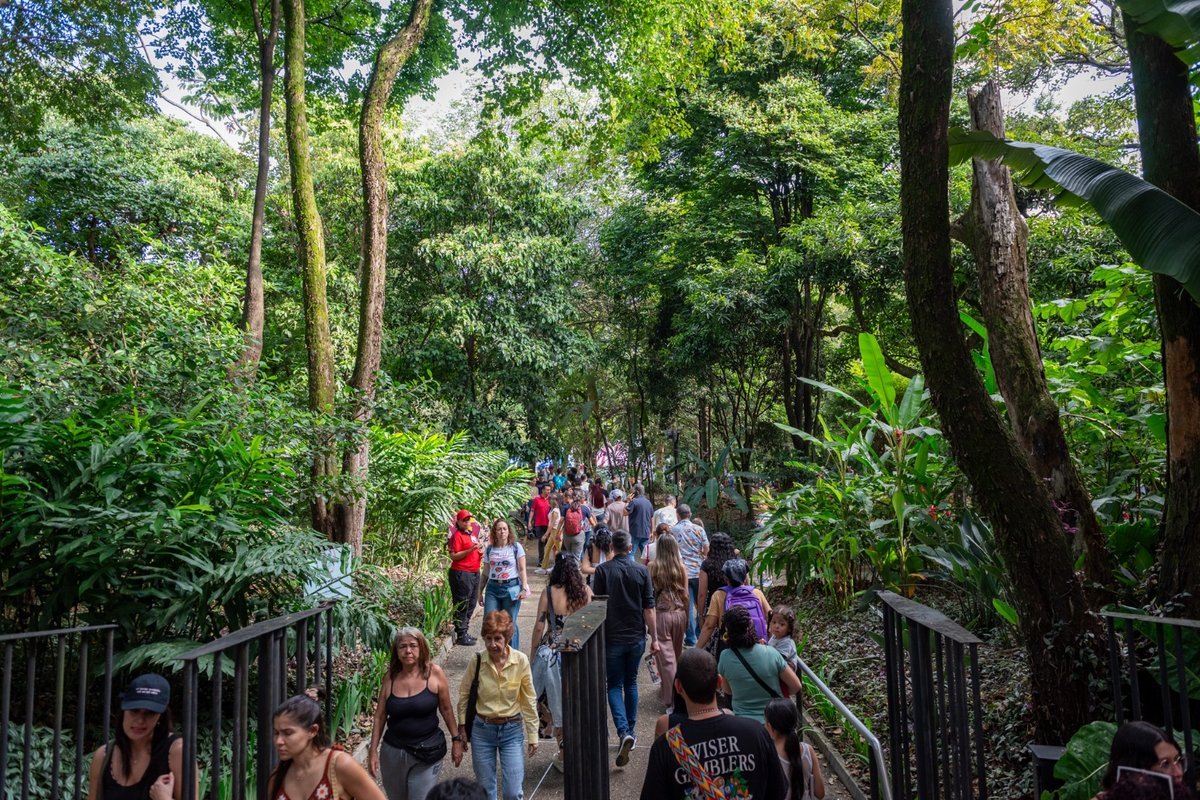 La Fiesta del Libro y la Cultura de Medellín exalta el centenario de la novela colombiana La vorágine