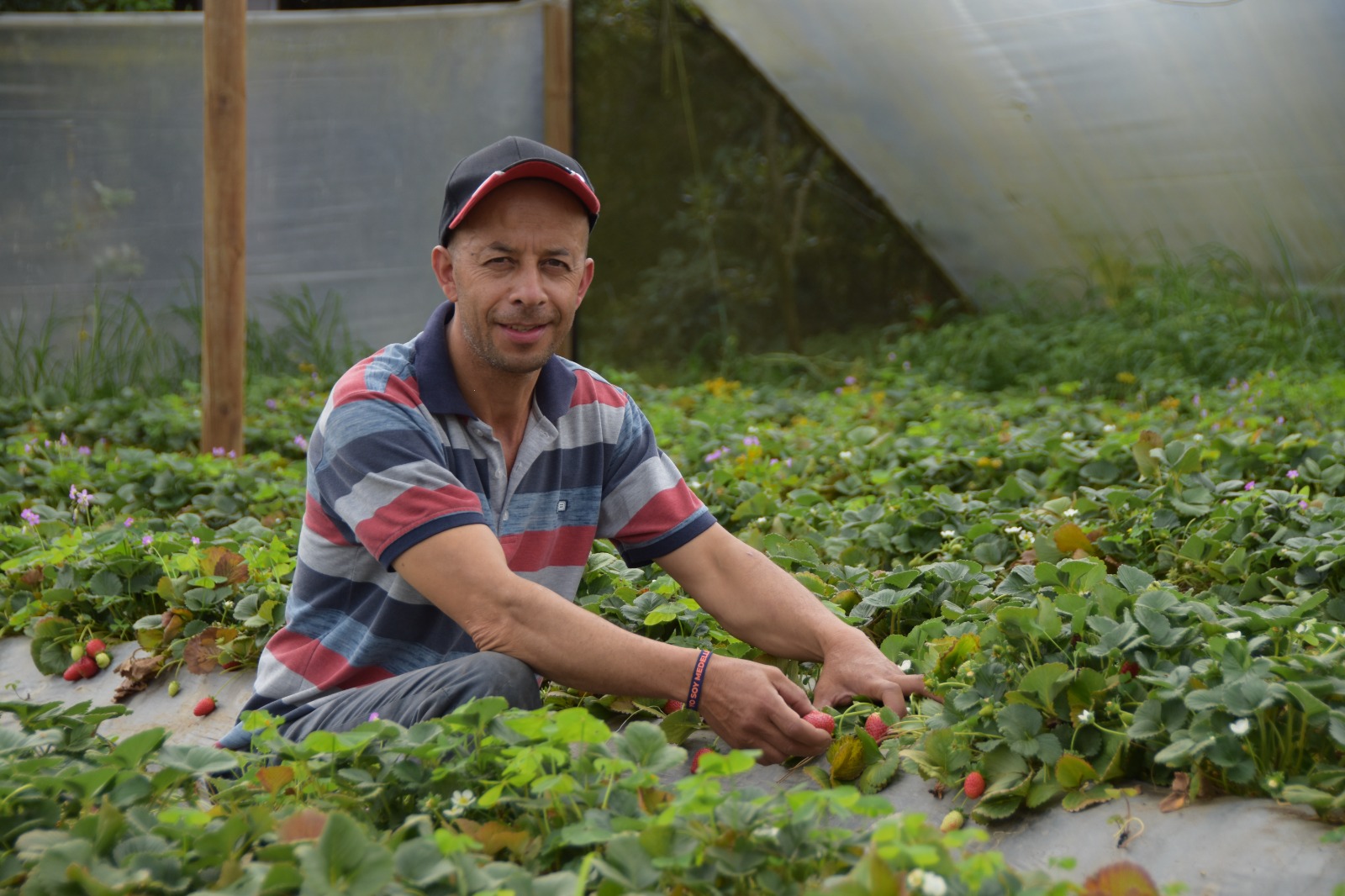 1.868 productores agropecuarios de los corregimientos participaron en programas de la Alcaldía de Medellín en 2024 1.868 productores agropecuarios de los corregimientos participaron en programas de la Alcaldía de Medellín en 2024