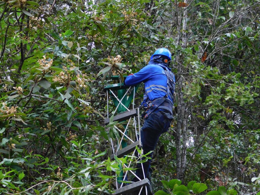 Pasos de fauna en Medellín