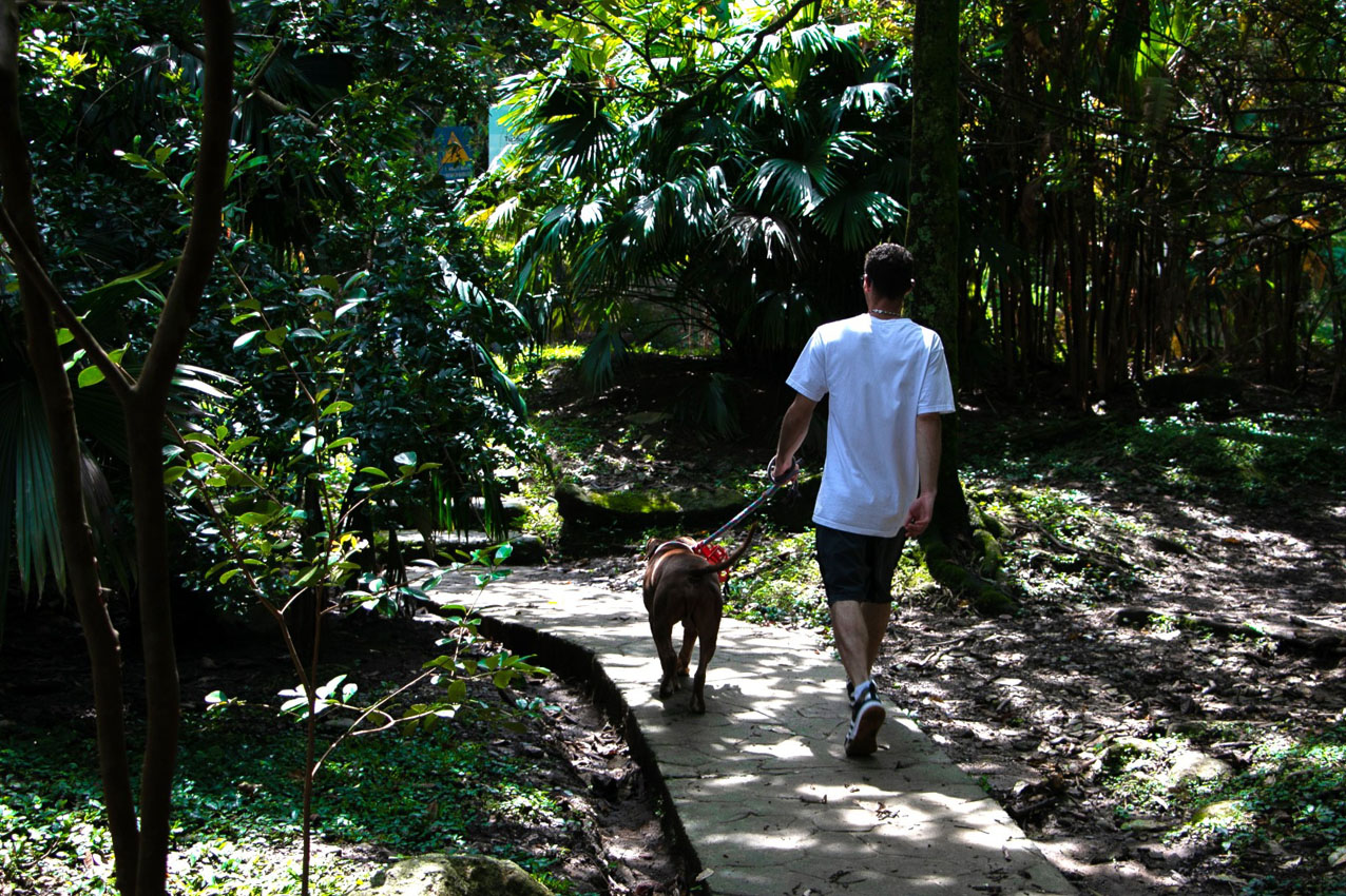 Imagen protección cerros Medellín (2)
