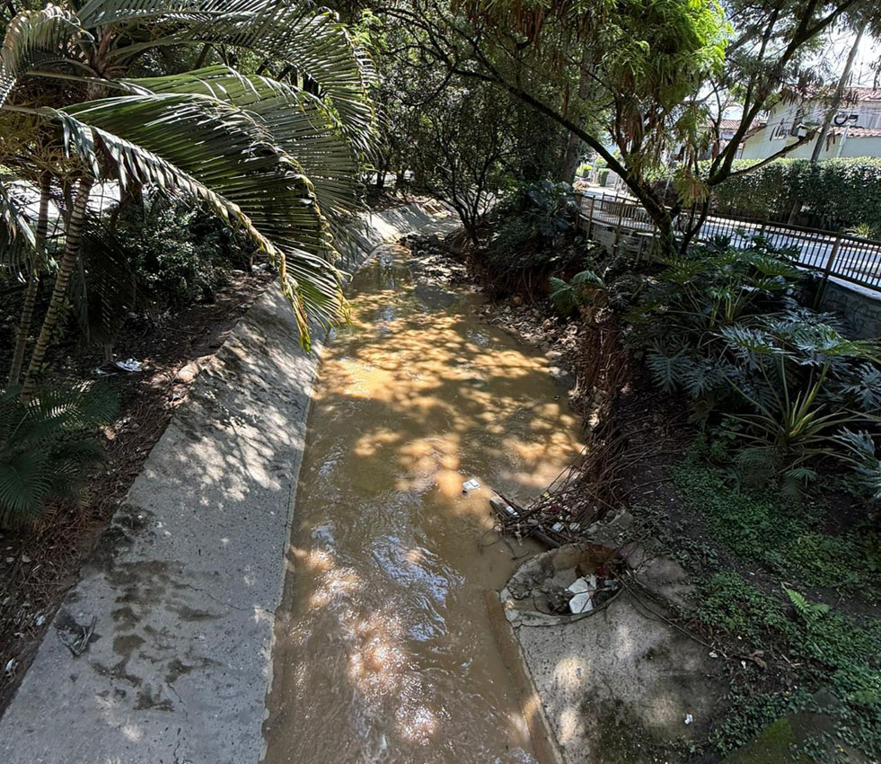 Imagen Medellín avanza en la recuperación de quebradas y ecosistemas (1)