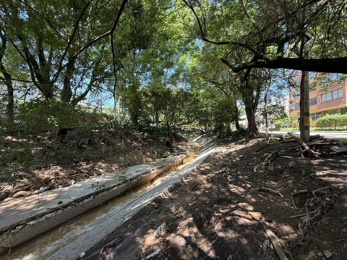 Imagen Medellín avanza en la recuperación de quebradas y ecosistemas (2)