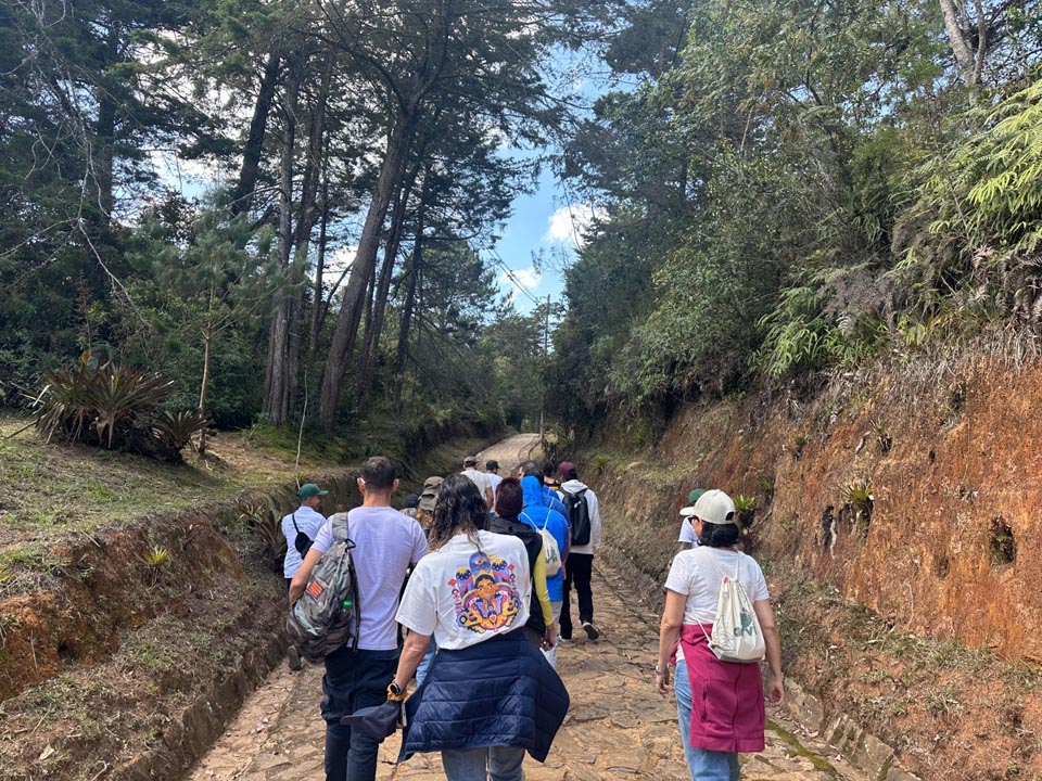Imagen Qué hay para hacer en Medellín ARVÍ 1
