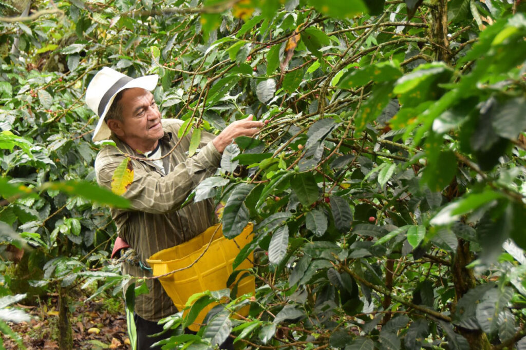 Imagen productores agropecuarios en los corregimientos (3)
