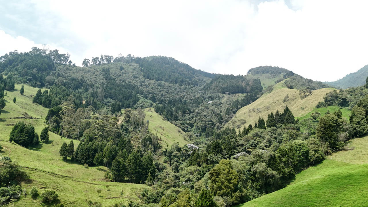 Imagen panorámica de zona rural