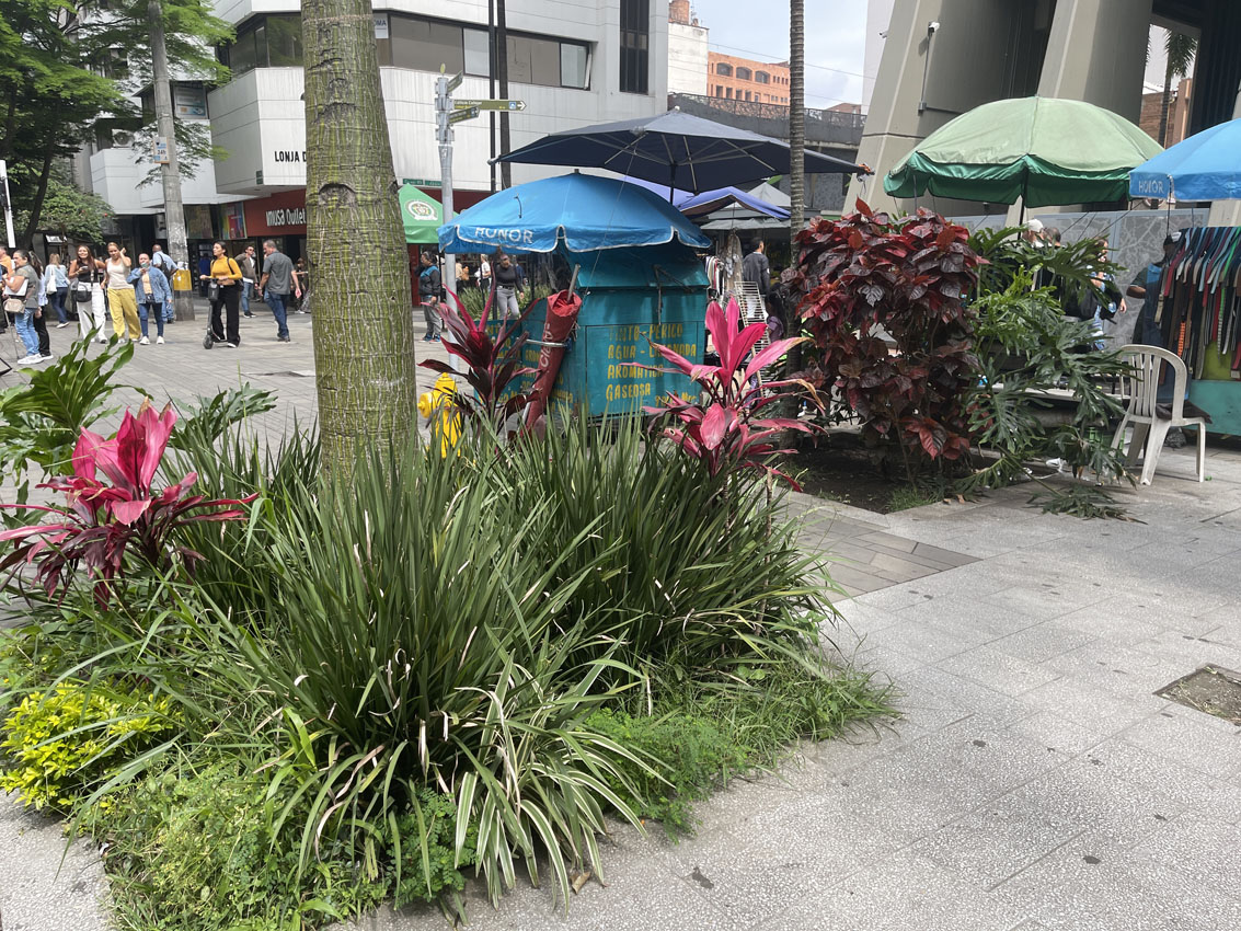 Imagen Centro de Medellín (2)