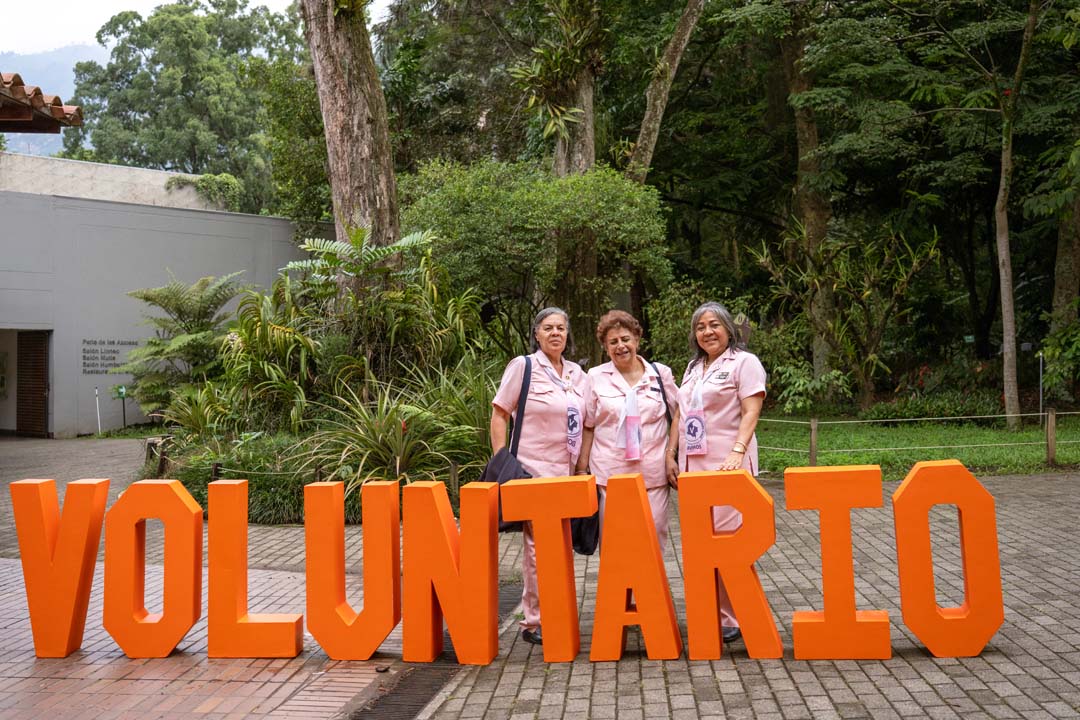 Voluntariado 1