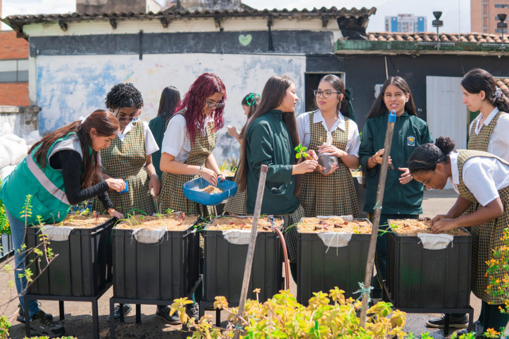 Imagen Colegios públicos de Medellín proponen soluciones innovadoras para desafíos ambientales (1)
