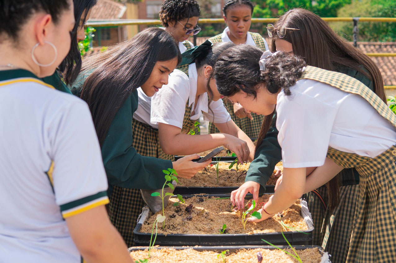 Imagen Colegios públicos de Medellín proponen soluciones innovadoras para desafíos ambientales (3)