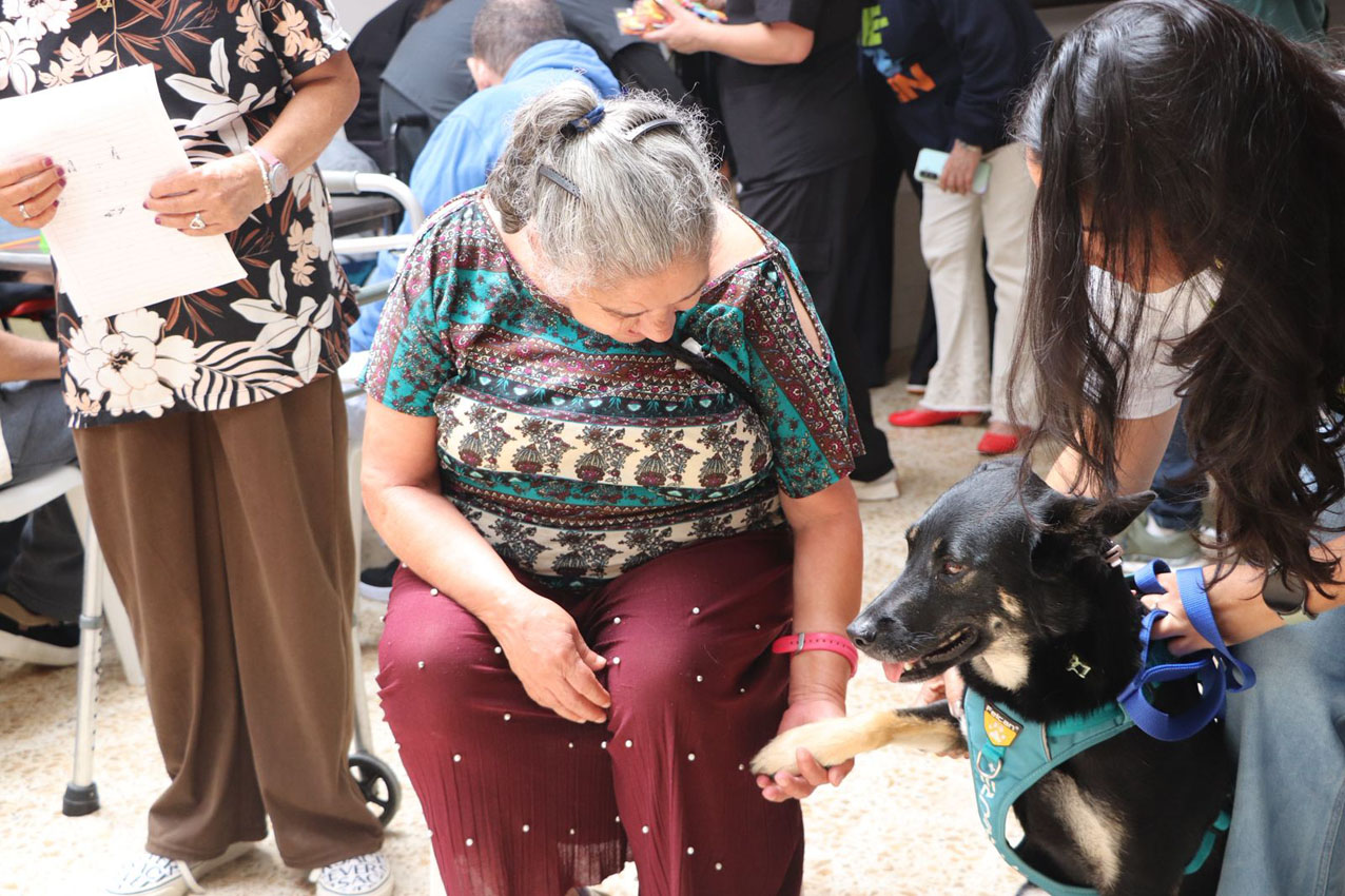 Imagen Perros que sanan el programa de Intervenciones Asistidas del Distrito (5)