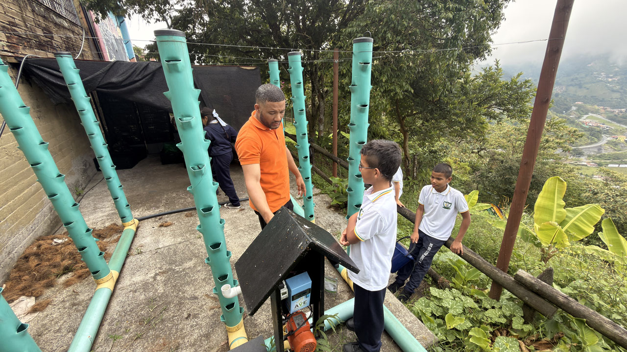 Imagen Hidropónico 1