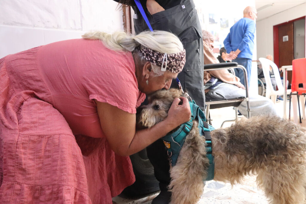 Imagen Principal La Perla