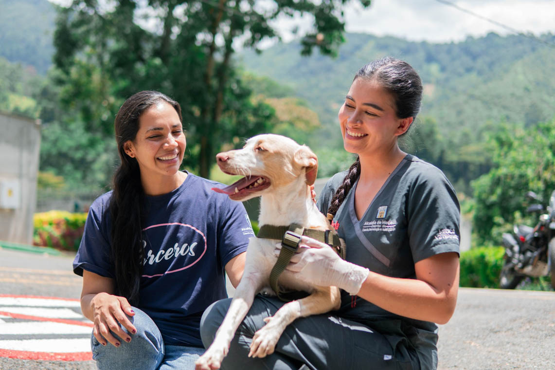 Imagen de una perra con veterinarias