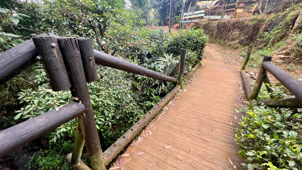 Imagen mejoran la movilidad peatonal con puentes nuevos (2)