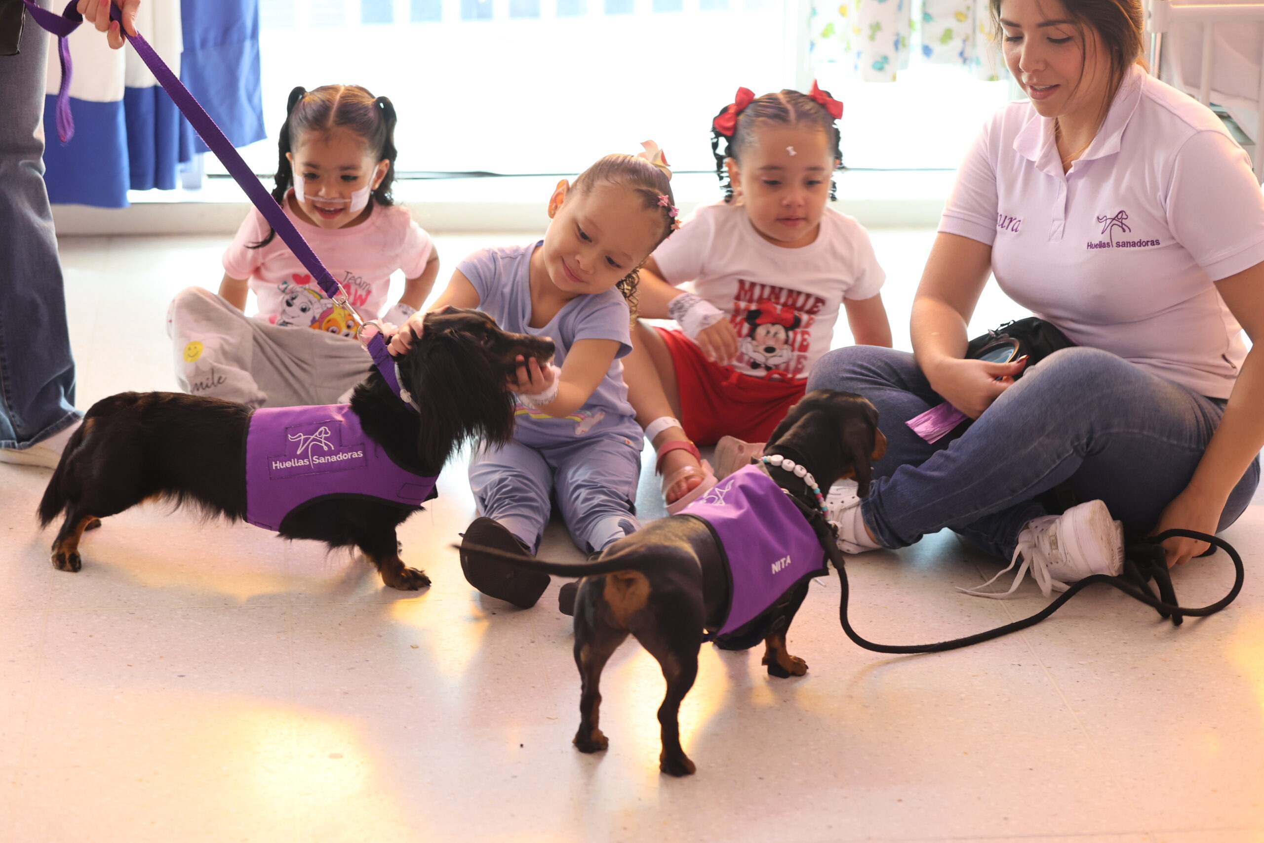 Visita de perros a hospital Infantil (11)