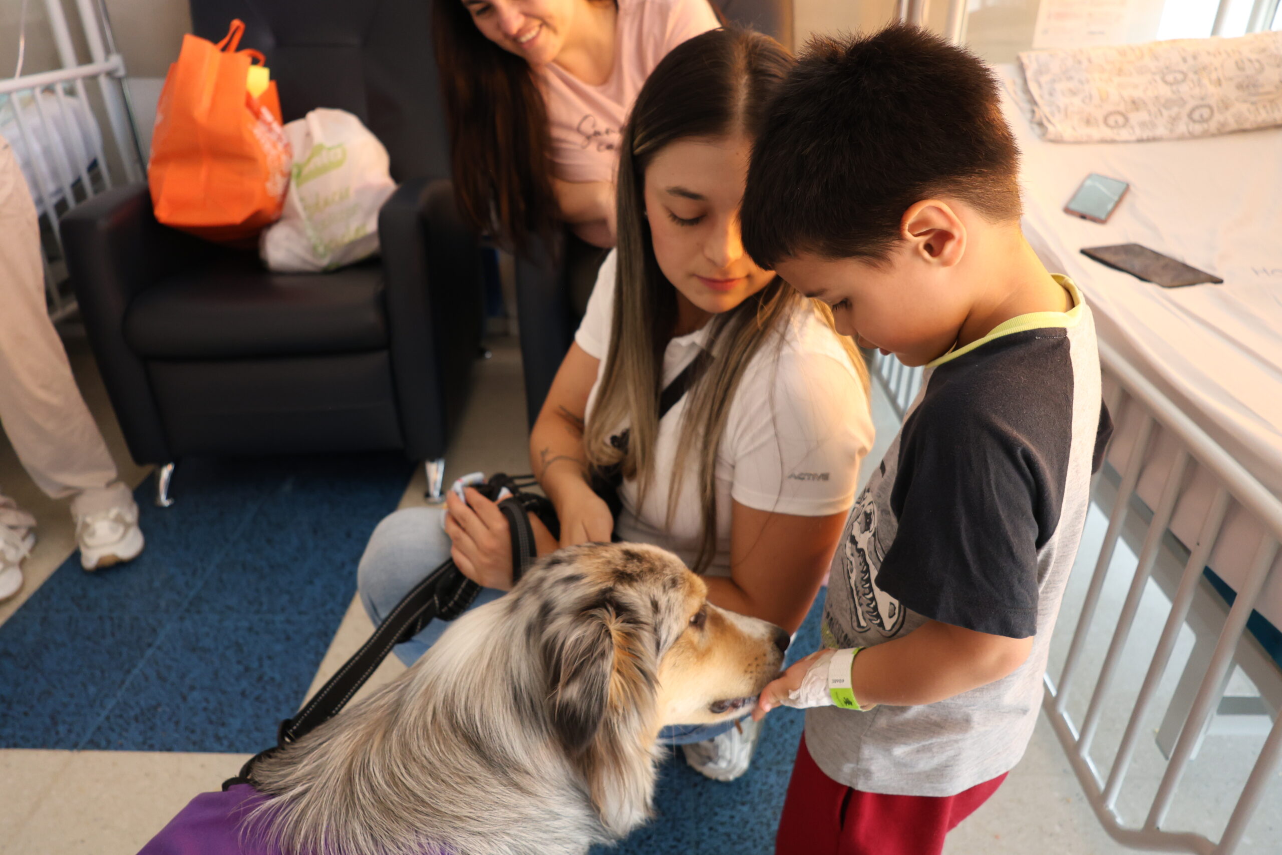 Visita de perros a hospital Infantil (11)