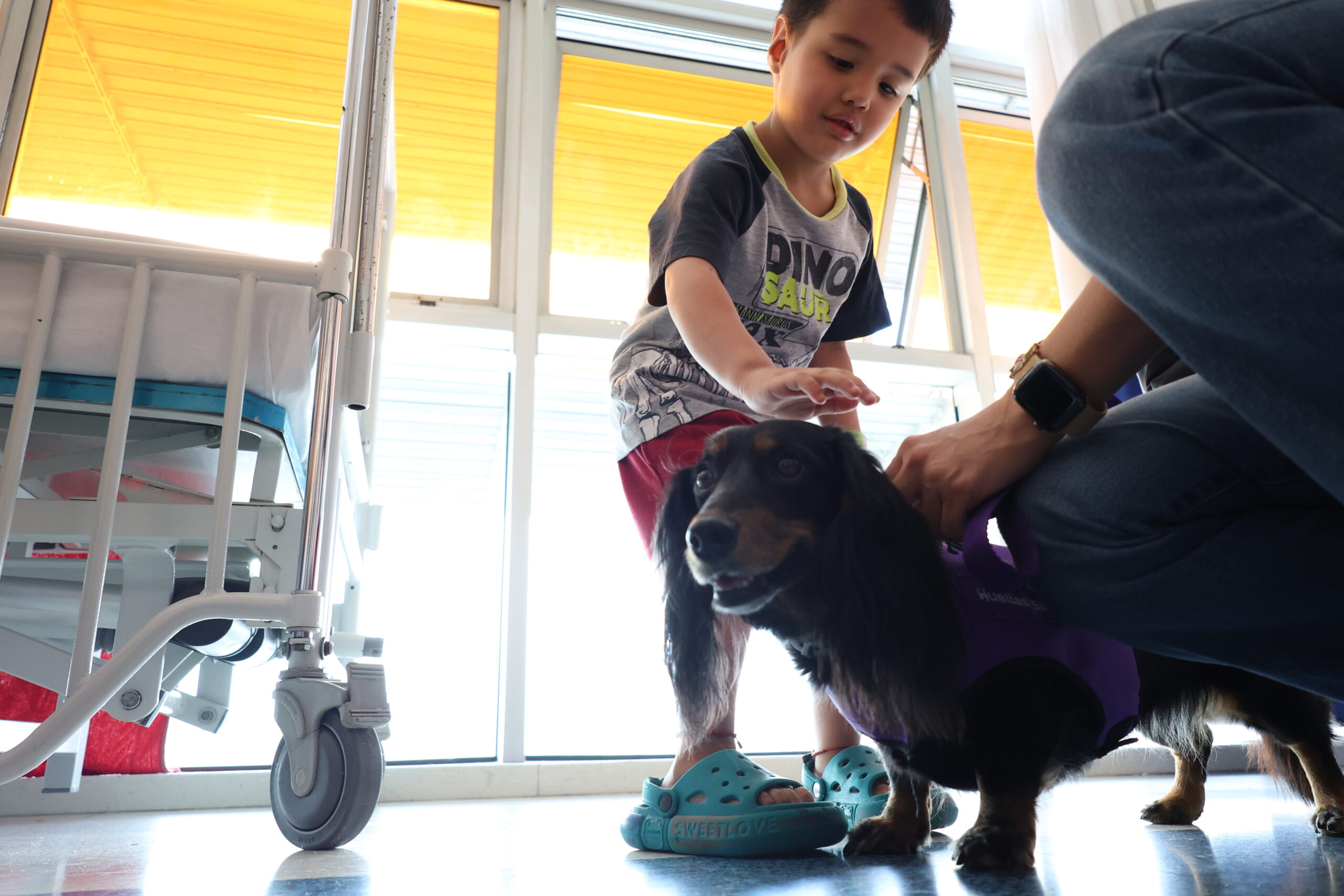 Visita de perros a hospital Infantil (28)