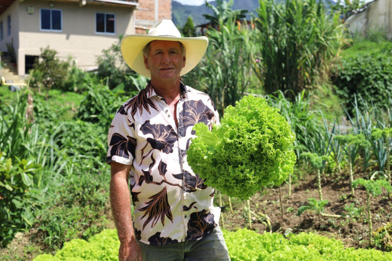 imagen de campesino con una lechuga