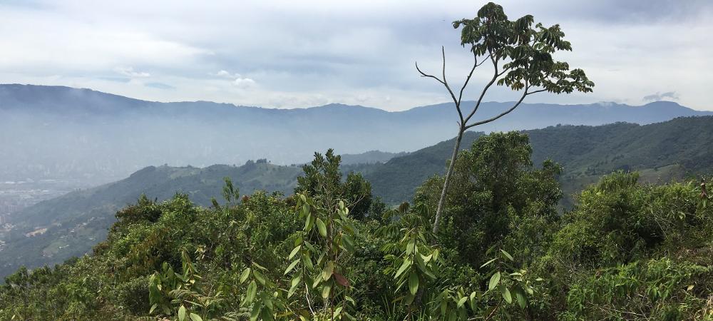 Propietarios de predios rurales en Medellín recibirán incentivos económicos por la conservación de fuentes hídricas