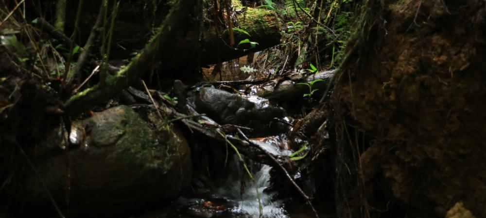Propietarios de predios de los cinco corregimientos de Medellín firman acuerdos para proteger el recurso hídrico